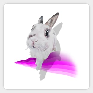 3D super cute bunny! Sticker